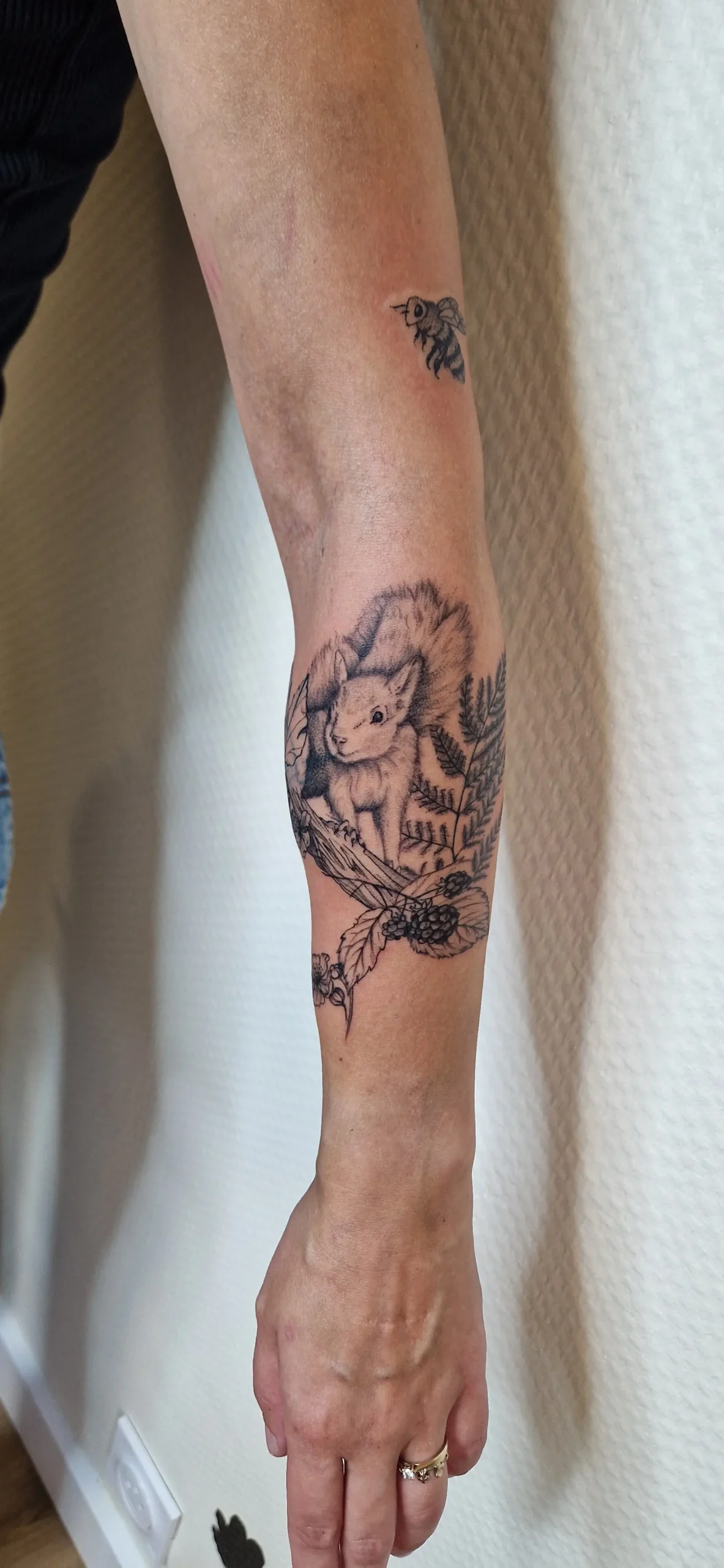 Tatouage d'un écureuil sur l'avant bras.